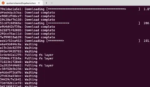 gpt-j-6b-gpu-dockerをWSL2に入れたUbuntu環境下で動作させ…【Windows11】