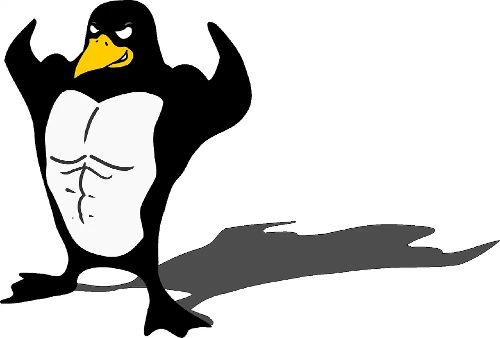Linux勉強会(ブレース展開)