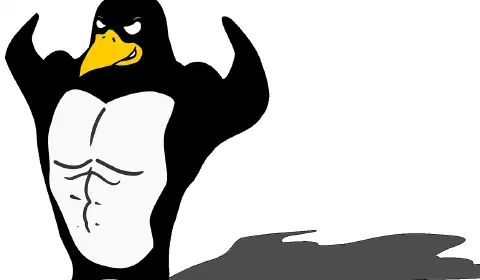 Linux勉強会(ブレース展開)