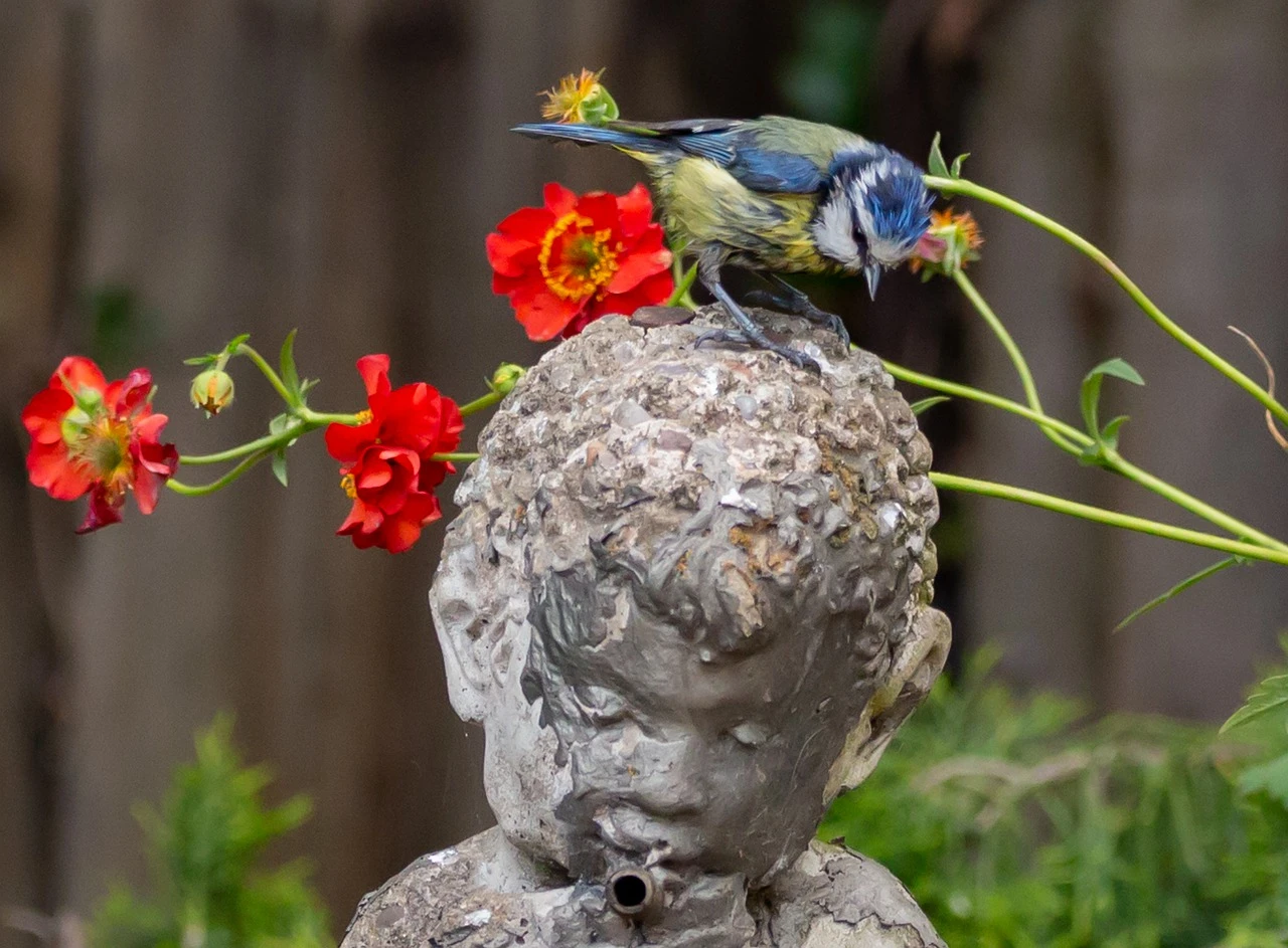 Rustの基礎文法大体覚えたので競プロで理解を確かめていこう(中盤)